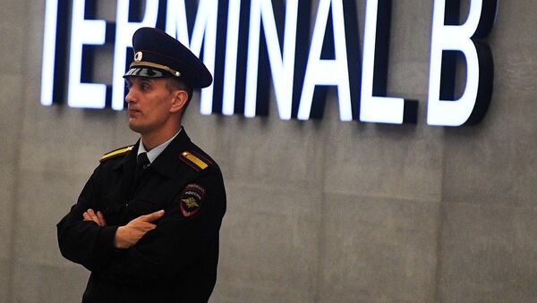 Сотрудник полиции в аэропорту Шереметьево - Sputnik Грузия