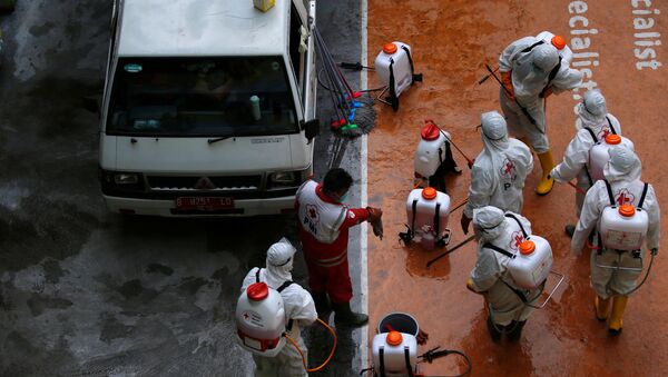 Волонтеры из Индонезийского Красного Креста готовятся к распылению дезинфицирующего средства в школе, закрытой на фоне распространения коронавируса COVID-19. Джакарта, Индонезия - Sputnik Грузия