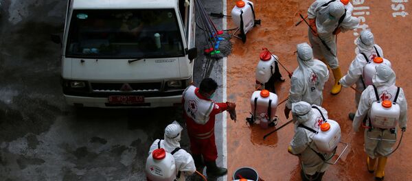 Волонтеры из Индонезийского Красного Креста готовятся к распылению дезинфицирующего средства в школе, закрытой на фоне распространения коронавируса COVID-19. Джакарта, Индонезия - Sputnik Грузия