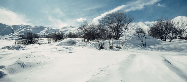 გუდაური გუდაური - Sputnik საქართველო