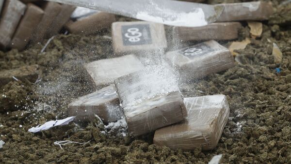 Уничтожение наркотиков, фото из архива - Sputnik Грузия