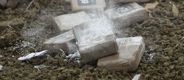 Уничтожение наркотиков, фото из архива - Sputnik Грузия