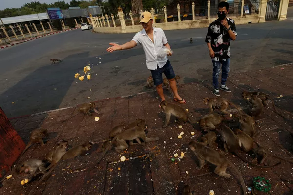 Они являются частью повседневной жизни местных жителей - Sputnik Грузия