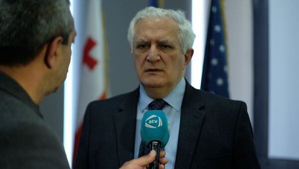 Глава Национального центра контроля заболеваний Амиран Гамкрелидзе - Sputnik Грузия