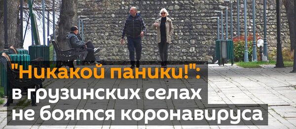 Никакой паники!: в грузинских селах не боятся коронавируса - Sputnik Грузия