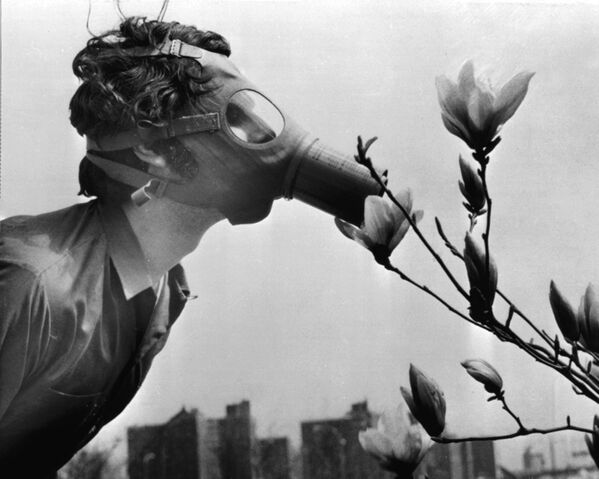 Студент в противогазе нюхает цветок во время демонстрации на День Земли, США, 1970 год - Sputnik Грузия