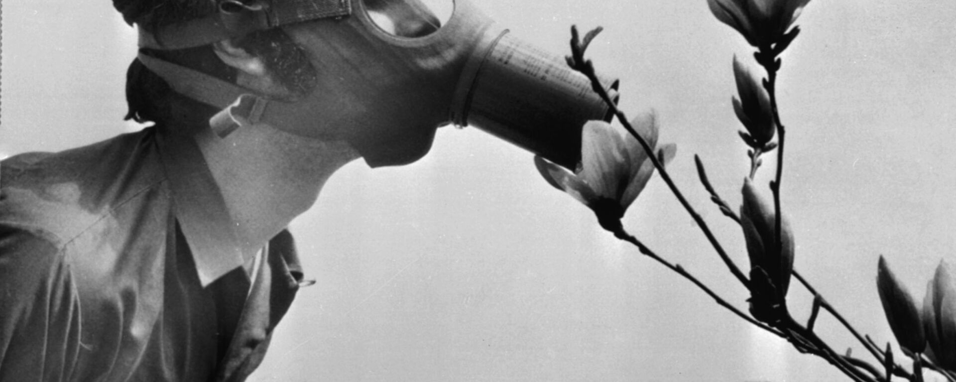 Студент в противогазе нюхает цветок во время демонстрации на День Земли, США, 1970 год - Sputnik Грузия, 1920, 02.11.2020