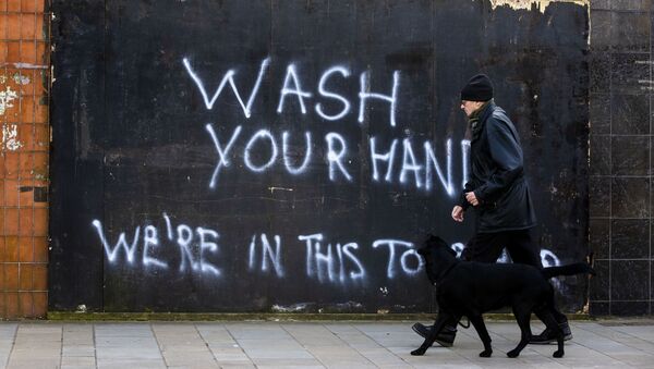 Мужчина с собакой напротив граффити с призывом мыть руки в Северной Ирландии  - Sputnik Грузия