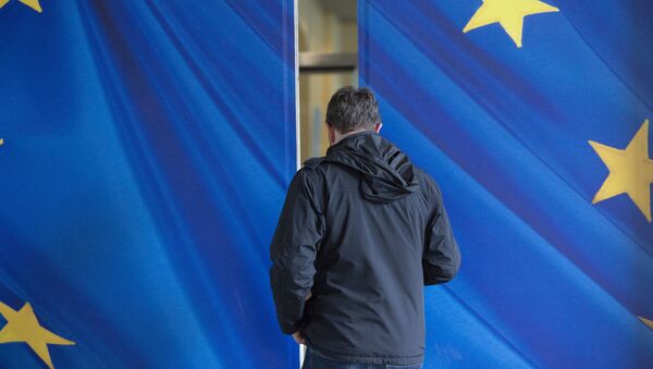 Мужчина идет через раздвижную дверь со звездами Европейского Союза - Sputnik Грузия