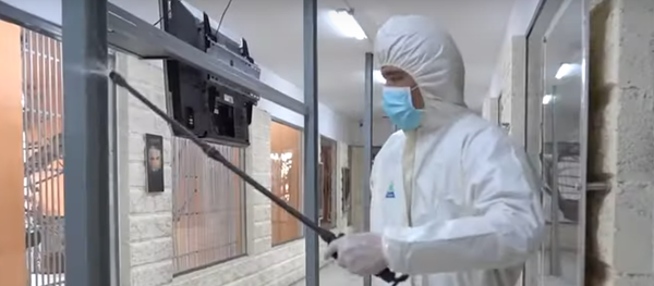 На карантине: животные Алматинского зоопарка находятся под круглосуточным наблюдением - Sputnik Грузия