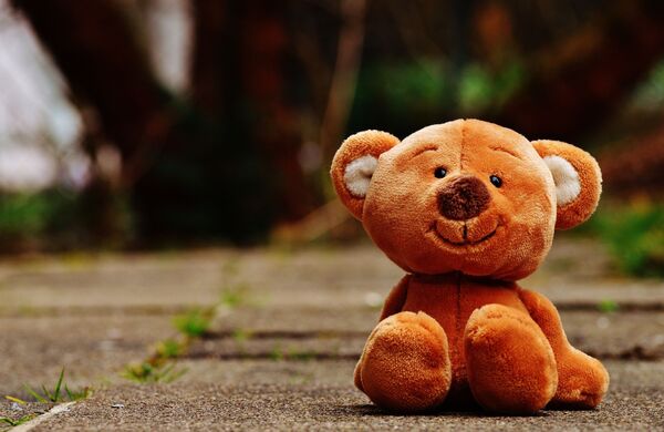 სათამაშო დათვი - Sputnik საქართველო