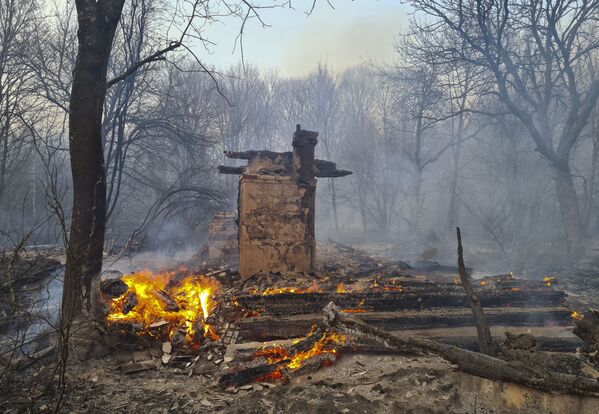 Что стало причиной возгорания леса пока не известно

 - Sputnik Грузия