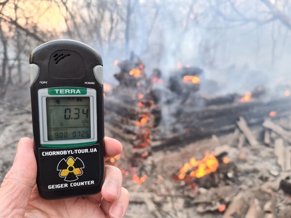 Аппарат для замера уровня радиации в Чернобыльской зоне отчуждения - Sputnik Грузия