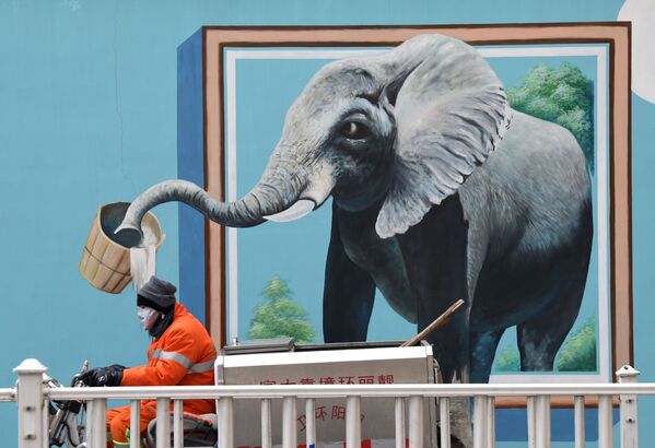 Китай возвращается к привычной и размеренной жизни. На фото рабочий в медицинской маске на фоне граффити с изображением слона в Пекине - Sputnik Грузия