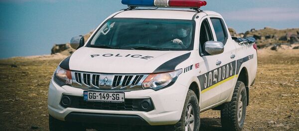 პოლიცია პოლიცია - Sputnik საქართველო