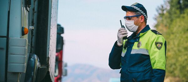 Сотрудник патрульной полиции проверяет документы у водителей на блокпосту в Марнеули Сотрудник патрульной полиции проверяет документы у водителей на блокпосту в Марнеули - Sputnik Грузия