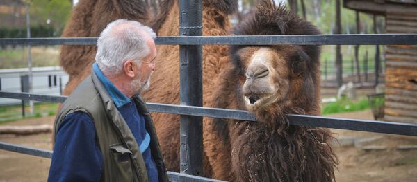 Животные скучают без людей - как тбилисский зоопарк переживает пандемию - Sputnik Грузия