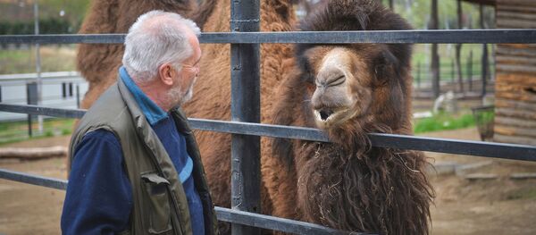„ცხოველებს ადამიანები ენატრებათ“ - როგორ გადააქვს პანდემია თბილისის ზოოპარკს „ცხოველებს ადამიანები ენატრებათ“ - როგორ გადააქვს პანდემია თბილისის ზოოპარკს - Sputnik საქართველო