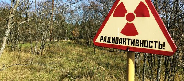 Радиоактивная зона - предупреждающий знак - Sputnik Грузия