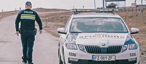 Патрульная полиция - Sputnik Грузия