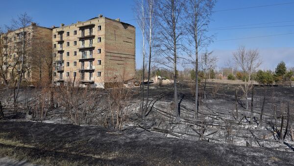 Лесной пожар в Чернобыльской зоне  - Sputnik Грузия