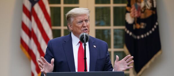 დონალდ ტრამპი დონალდ ტრამპი - Sputnik საქართველო