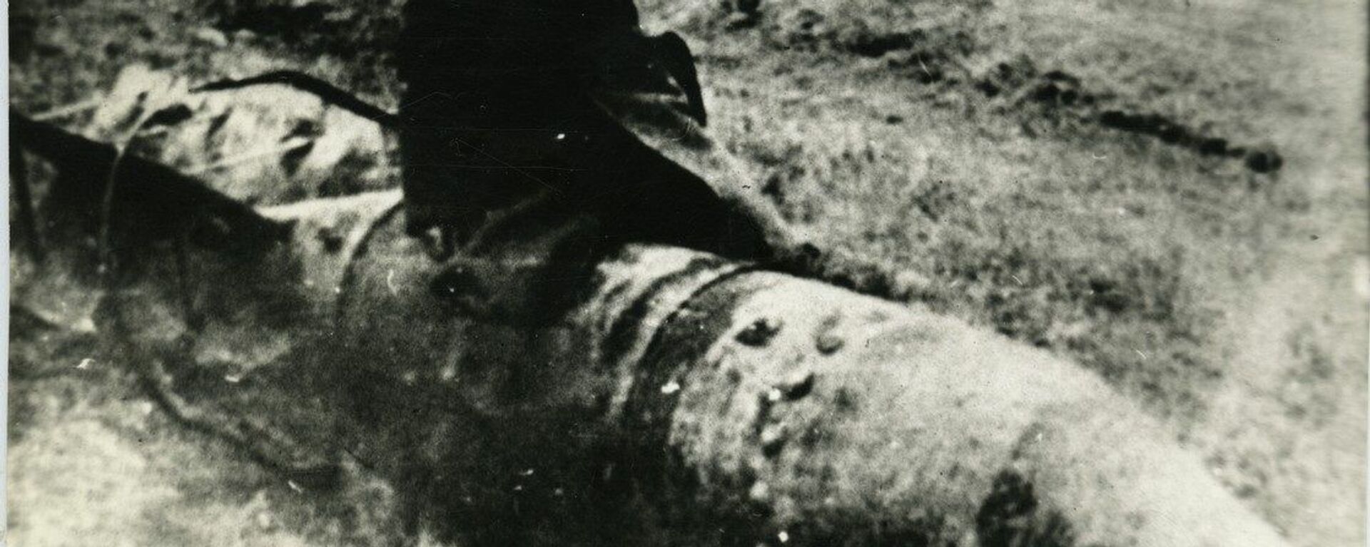Константине Лорткипанидзе сидит на подбитой бомбе - Sputnik Грузия, 1920, 09.05.2021