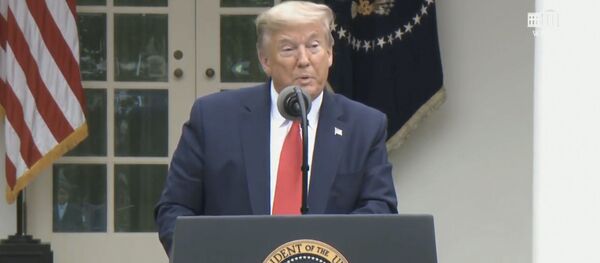 Трамп нашел виноватых в пандемии - это ВОЗ - Sputnik Грузия