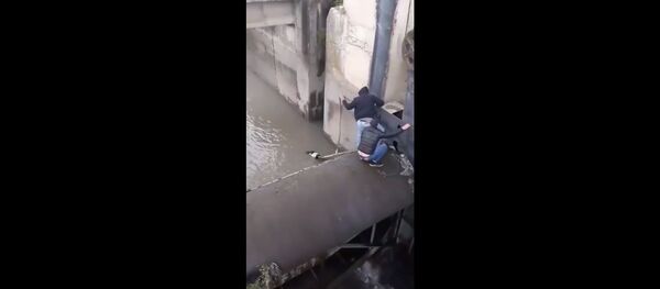 ძაღლის გადარჩენის ოპერაცია ძაღლის გადარჩენის ოპერაცია - Sputnik საქართველო