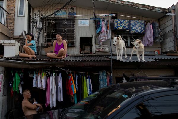 Девочки с собаками на крыше дома во время самоизоляции на Филиппинах - Sputnik Грузия