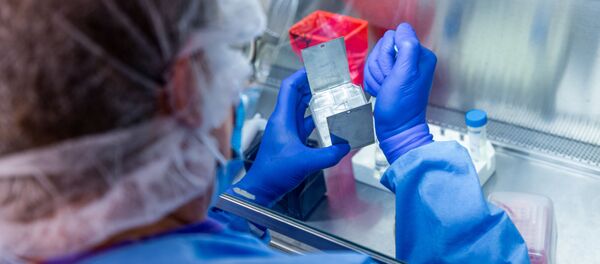 ტესტი - Sputnik საქართველო