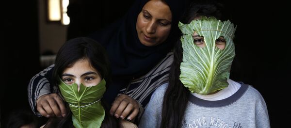 კომბოსტოს ფოთლები სამედიცინო ნიღბების ნაცვლად - ვითარება პალესტინაში კომბოსტოს ფოთლები სამედიცინო ნიღბების ნაცვლად - ვითარება პალესტინაში - Sputnik საქართველო