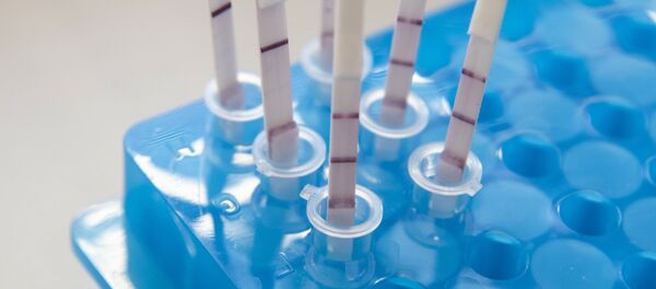 ტესტი ტესტი - Sputnik საქართველო