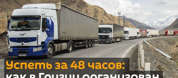 Успеть за 48 часов: как в Грузии организован транзит грузов - видео - Sputnik Грузия