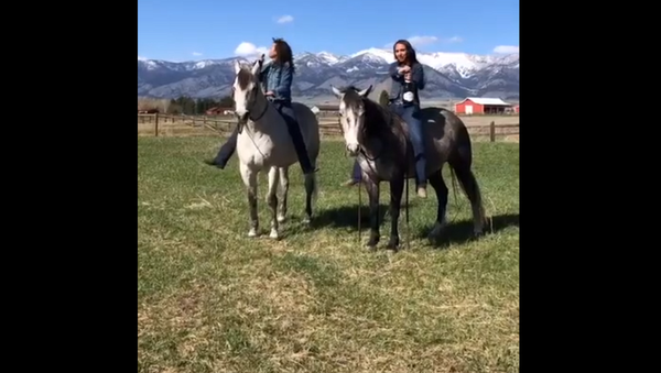 Девушки решили открыть шампанское, сидя верхом на лошади, и пожалели – видео - Sputnik Грузия
