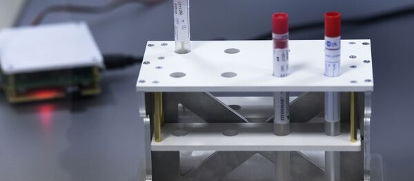 Отбор биоматериала для анализа на Covid - Sputnik Грузия