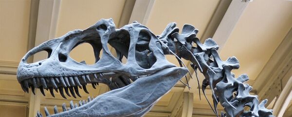 Скелет динозавра - Sputnik Грузия