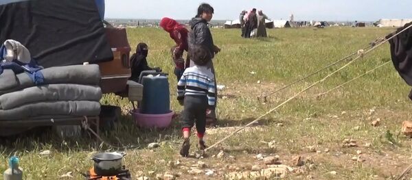 В руки боевикам: куда уходит гуманитарная помощь ООН в Сирии - Sputnik Грузия