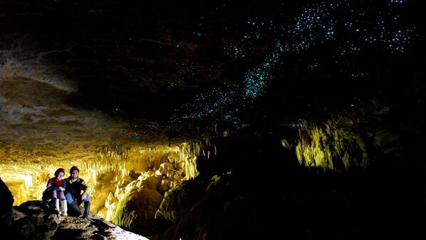 Пещеры Вайтомо в Новой Зеландии представляют собой целый комплекс из множества карстовых пещер и подземных гротов, их здесь около 150. Самыми красивыми считаются пещеры светлячков, пещеры Арануи, пещеры Руакури и Гарднерс Гат - Sputnik Грузия