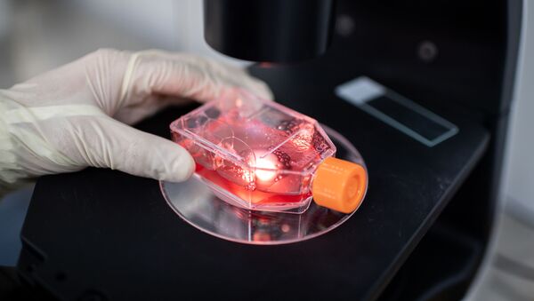 Медик в лаборатории наблюдает под микроскопом на зараженную коронавирусом клетку  - Sputnik Грузия