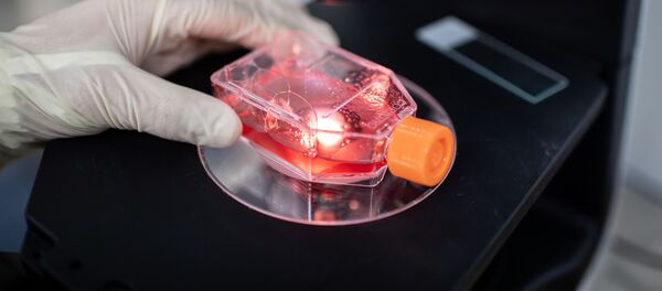 Медик в лаборатории наблюдает под микроскопом на зараженную коронавирусом клетку  - Sputnik Грузия