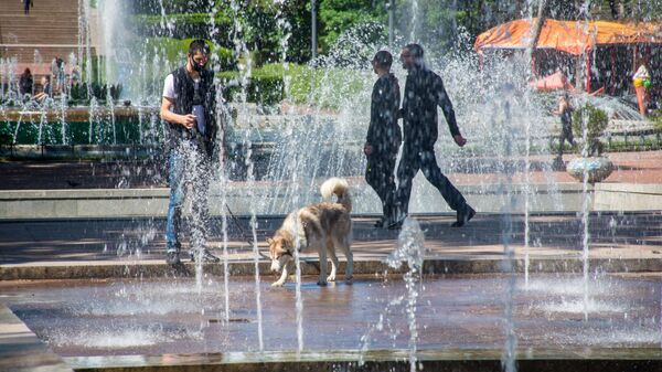 Весна в столице Грузии. Парк Ваке. Люди гуляют у фонтана. Собака со своим хозяином бегает у воды - Sputnik Грузия
