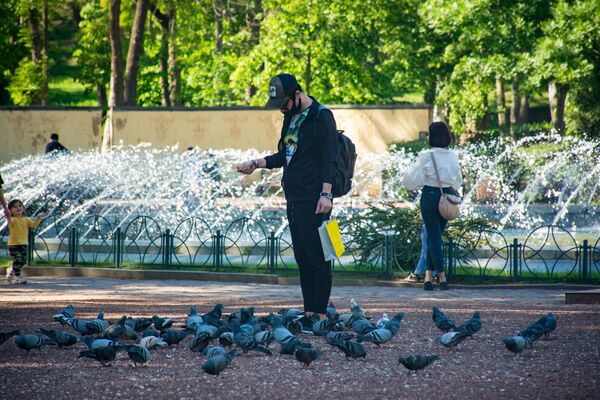 Даже в известных парках столицы люди, в основном, если и стоят вместе, то небольшими группами. Или же проводят время в одиночестве, наслаждаясь природой - Sputnik Грузия