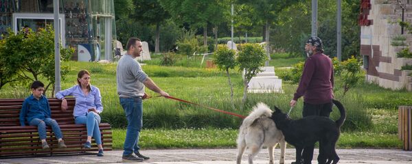 რიყის პარკში რიყის პარკში - Sputnik საქართველო