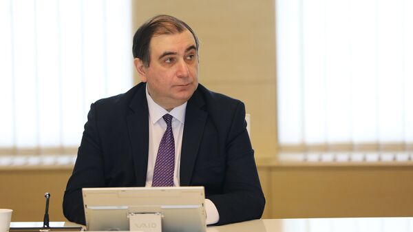 Министр образования, науки, культуры и спорта Михаил Чхенкели - Sputnik Грузия