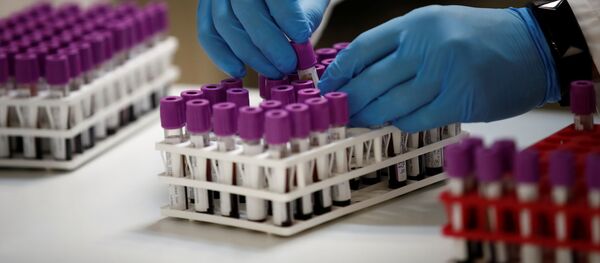 ტესტირება ტესტირება - Sputnik საქართველო