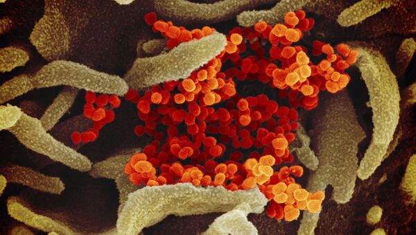 Вид на зараженную коронавирусом клетку под микроскопом - Sputnik Грузия