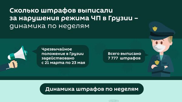 Штрафы за нарушение режима ЧП: сколько человек попались в Грузии - Sputnik Грузия