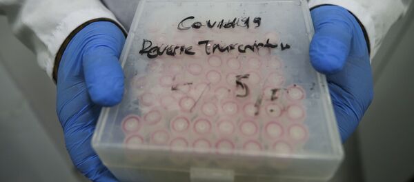 ტესტი კორონავირუსზე ტესტი კორონავირუსზე - Sputnik საქართველო