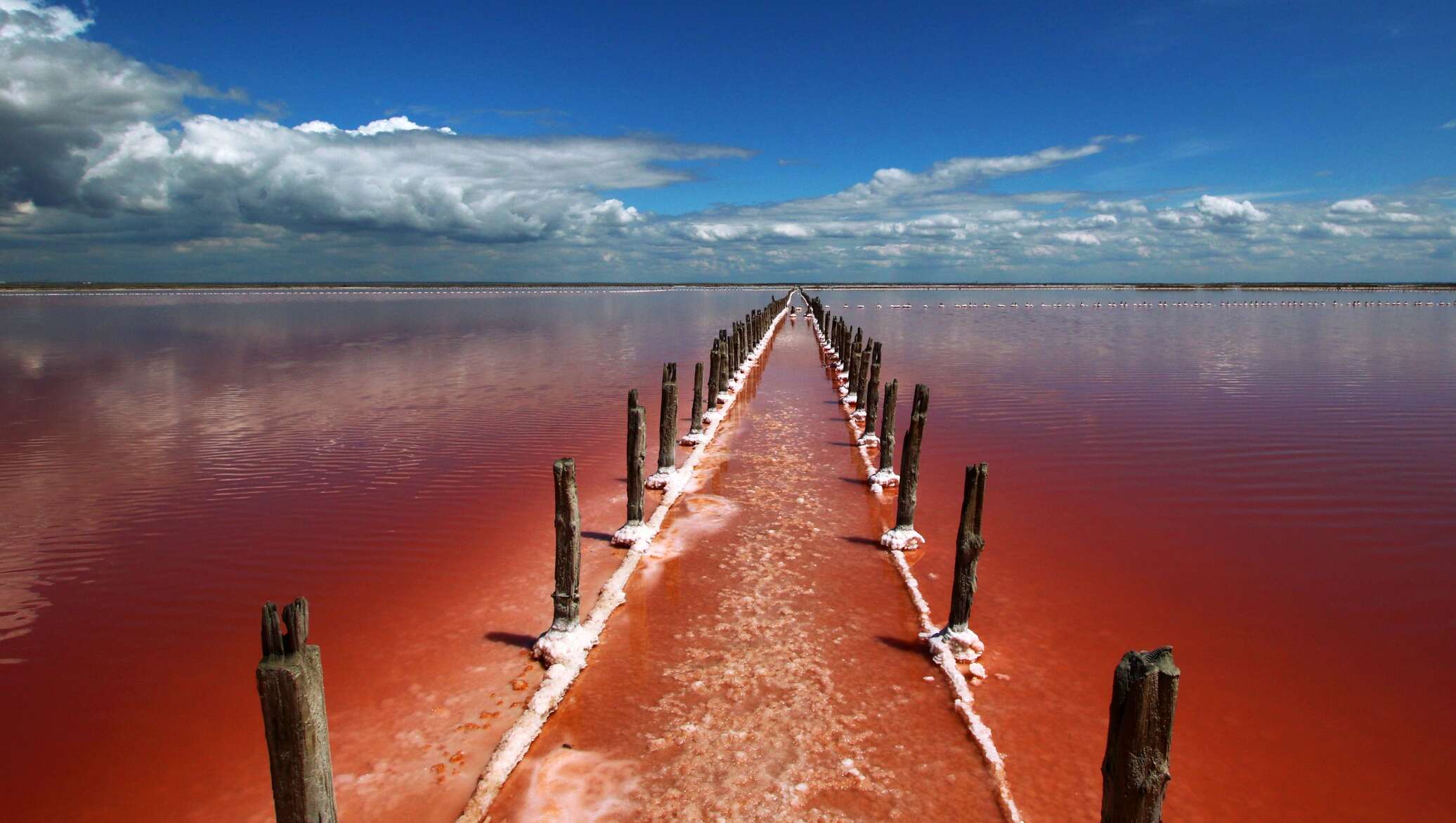 Розовое озеро сасык. Озеро Сасык-Сиваш, Крым, Евпатория. Сасык Сиваш озеро. Солёное озеро Сасык-Сиваш. Розовое озеро Сасык-Сиваш.